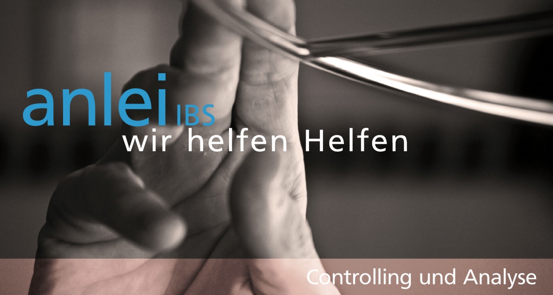 Controlling und Analye